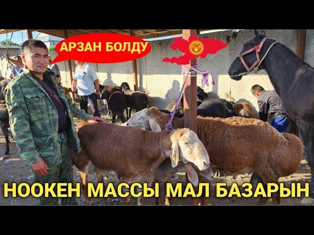 НООКЕН МАССЫ МАЛ БАЗАРЫ ӨТӨ АРЗАН БОЛУУДА КӨРҮҢҮЗДӨР.