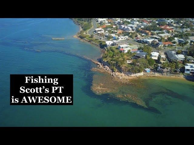 SCOTTS POINT, Redcliffe, why FISHING is so good