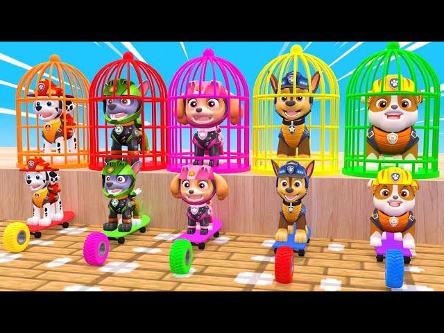 PAW Patrol : Guess The Right Door With Tire Game Mighty Pups Ultimate Rescue Max Level LONG LEGS #27