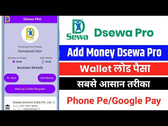 Dsewa Pro Add Money || Add Money In Dsewa Pro Wallet || Google Pay/Phone Pe Thru