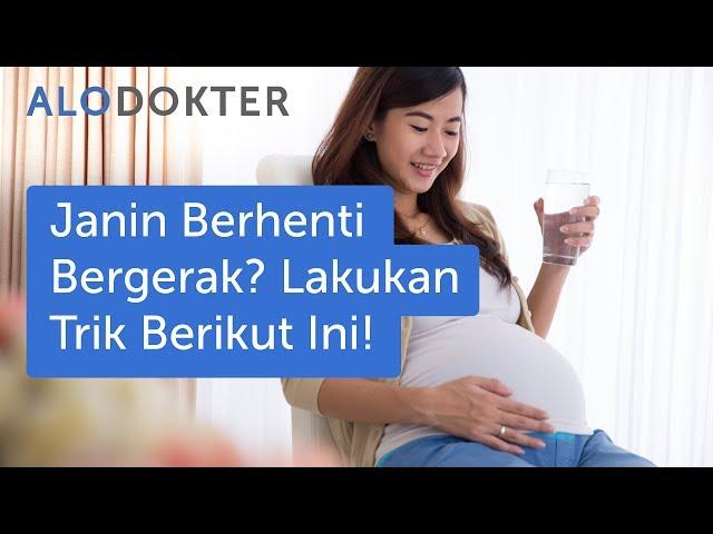 Janin Berhenti Bergerak? Lakukan Trik Berikut Ini!