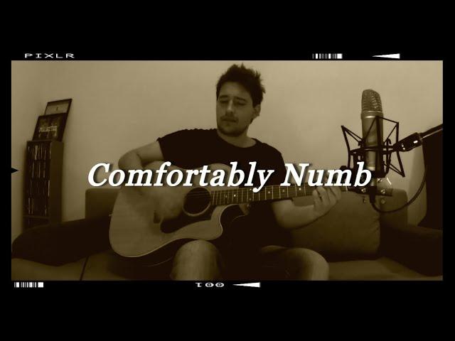 Comfortably Numb - Pink Floyd (Acoustic Cover)