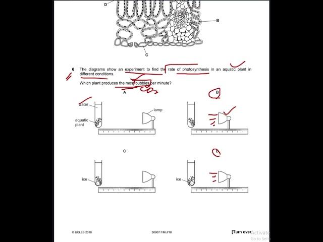 Hardest MCQ OLs 5090/MJ-2018/11 #cie #biology  #cambridgeinternationalexaminations #education #exam