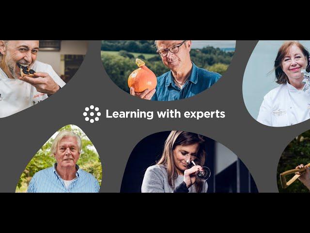 About Learning with Experts