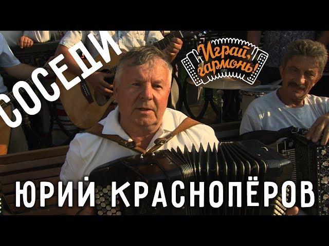 Играй, гармонь! | Юрий Краснопёров и ансамбль «Частушка» | Спеют яблоки и вишни в саду...(«Соседи»)