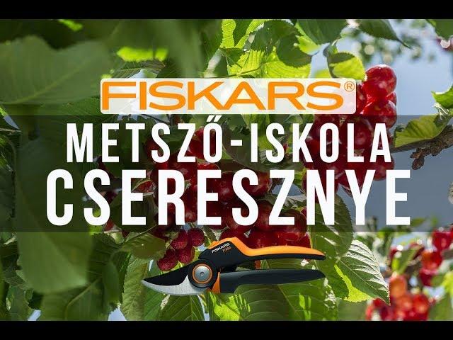 A cseresznye metszése - Fiskars metsző-iskola /kert TV