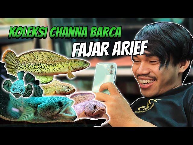 Review Semua Koleksi Chana Barca Milik Fajar Arief