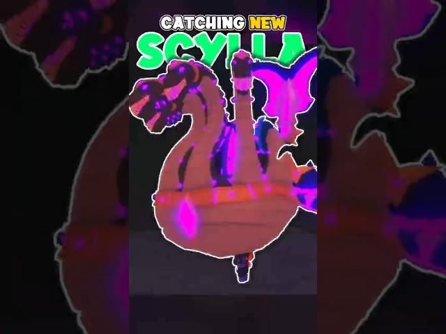 Catching NEW Prismize *SECRET* SCYLLA in Fisch! #midnyte #roblox #fisch