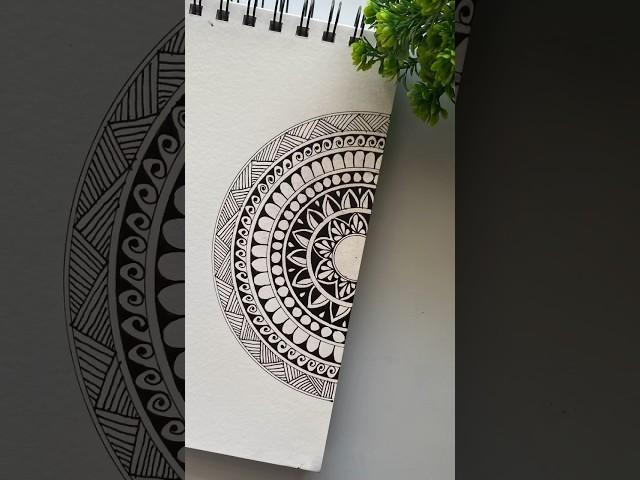 Draw a simple half-mandala with me  #mandalaforbegginers #trending #shorts #drawing #art #artist