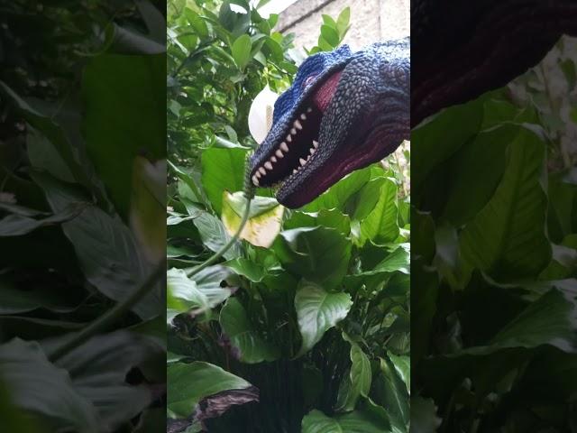 Blue raptor sneeze #dinosaurs #blueraptor #shorts #viral #funny