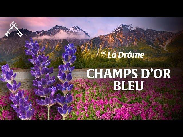 The Drôme Between Vercors and Provence | Alpine massifs and lavender fields | Heritage Treasures