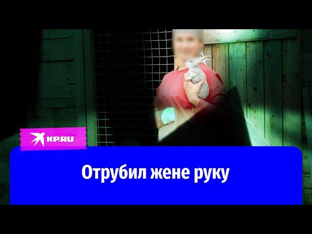 Вдохновился садистом и отрубил жене руку