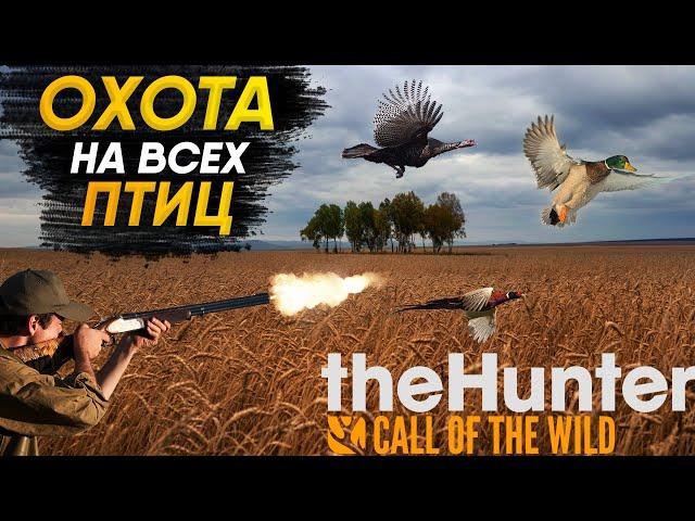 The Hunter Call of the Wild  | Охота на ВСЕХ ПТИЦ