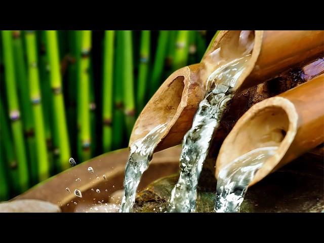 BAMBOO WATER FOUNTAIN | Relax & Get Your Zen On | White Noise