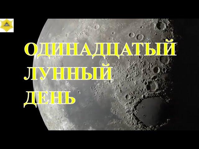 ОДИНАДЦАТЫЙ ЛУННЫЙ ДЕНЬ. ЧТО НАМ ГОТОВЯТ ЛУННЫЕ СУТКИ..