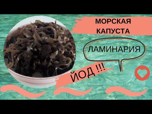 МОРСКАЯ КАПУСТА. КАК ПРИГОТОВИТЬ САЛАТ ИЗ СУШЕНОЙ ЛАМИНАРИИ. Маринованная морская капуста. РЕЦЕПТ.