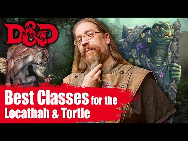 D&D Races 5e Locathah & Tortle - What Character Class Should I Play