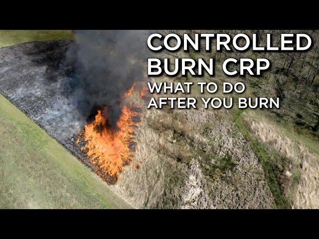 Controlled Burn CRP Native Grasses | What Do You Do After You Burn?