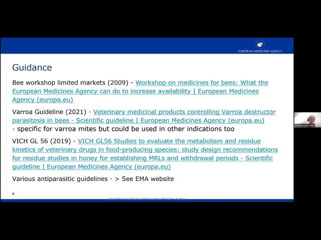 B THENET Webinar - Accessibility to VMPs in beekeeping in the EU