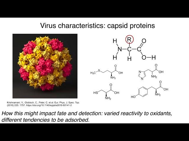 Recent Advancements in Virus Detection and Monitoring