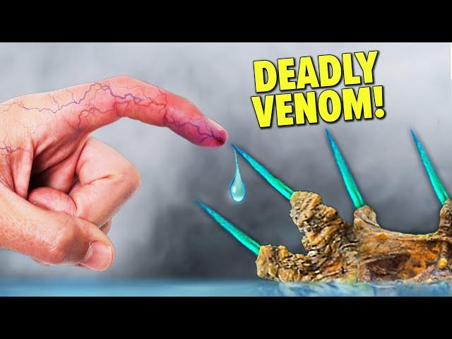 Stabbed by Deadliest Spines in the Ocean! ( Worst Stings RANKED!)