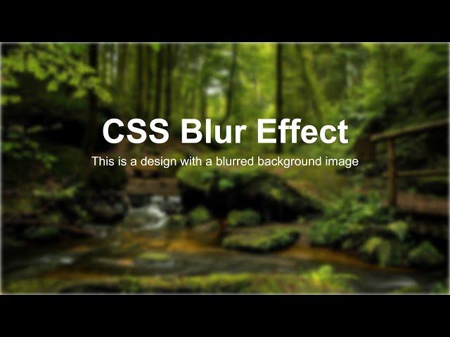 How to Blur Background Image in HTML | CSS Blur Background