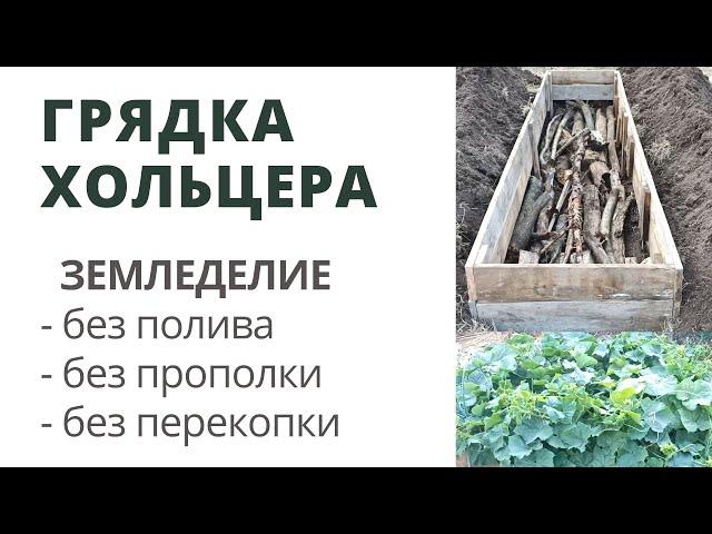 Грядки Хольцера. Урожай без хлопот - посадил и забыл :)