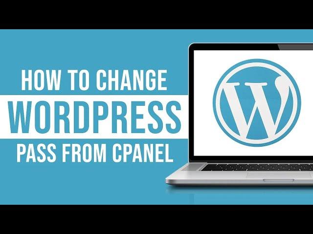 How to Change WordPress Password from cPanel (2023)