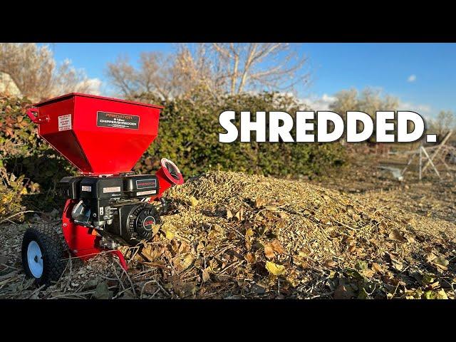 Harbor Freight Chipper/Shredder Review - Worth $600???