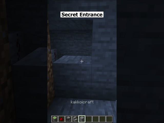 Secret Entrance #minecraft #shorts