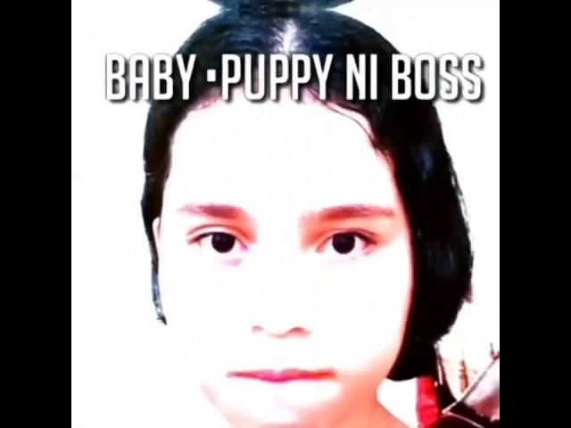 Virall video BABY•PUPPY!!NO SENSOR