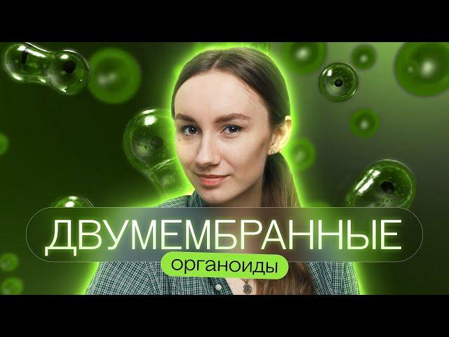 Двумембранные органоиды | Катя Грицай | Биология ЕГЭ