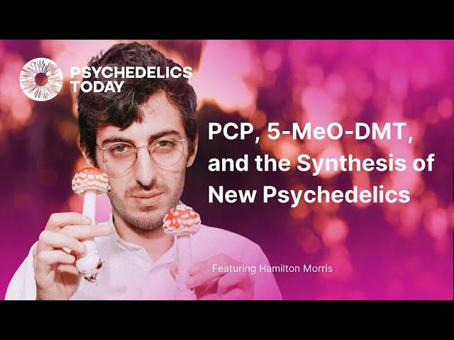 PT268 – Hamilton Morris – PCP, 5 MeO DMT, and the Synthesis of New Psychedelics