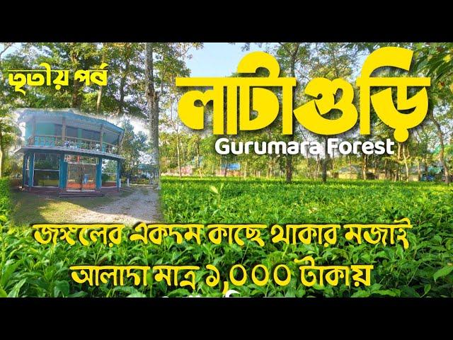 Lataguri | Lataguri Forest | Lataguri Tour 2021 | Lataguri Forest Resort Information Video