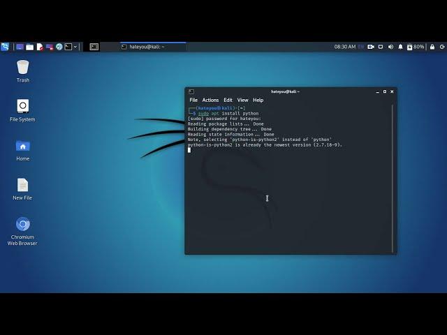 Installing Python 3 on Kali Linux