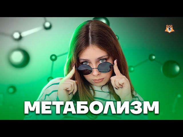 Метаболизм | Биология ЕГЭ для 10 класса | Умскул