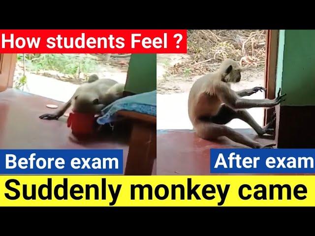 Students feelings during exam days#exam #makaut_exam #examination #shorts