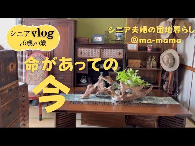 『シニア夫婦の団地暮らし』命があっての今/好きな物に囲まれて/