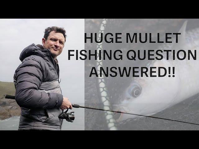 BIG mullet fishing game changer REVEALED!! *April Fool*