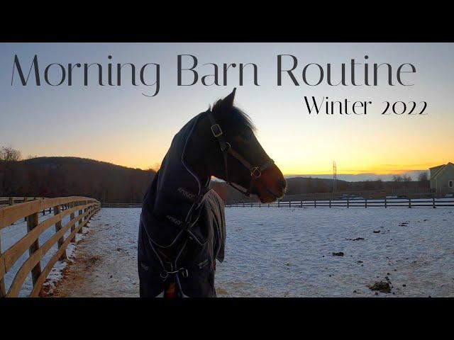 2022 Winter Morning BARN ROUTINE & Feeding Horses + Barn Chores | EVENTING EQUESTRIAN VLOG