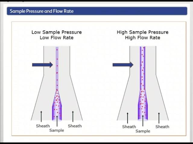 INTRO TO FLOW CYTOMETRY-MODULE 3-FLUIDICS