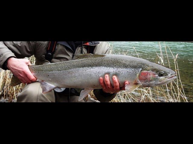 Catching More Steelhead Episode 1 - Fundamentals Of Spey Casting