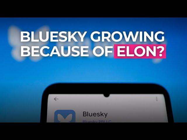 Is Elon Musk's Politics Pushing People to Join Bluesky?