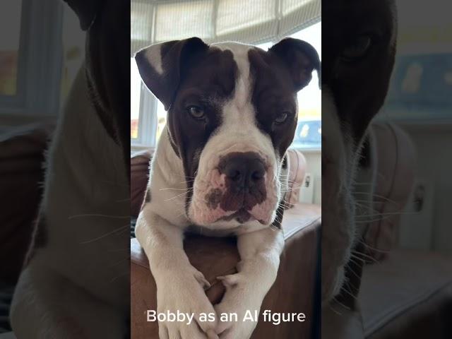 Bobby as an AI figure… #foryou #fypシ #feedshorts #trending #funny #tiktok #dogs #viral #AI