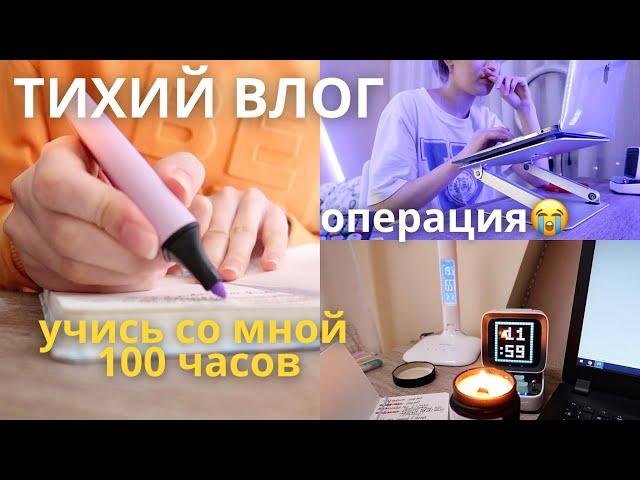 Учись Со Мной ТИХИЙ ВЛОГ одинокой девочки