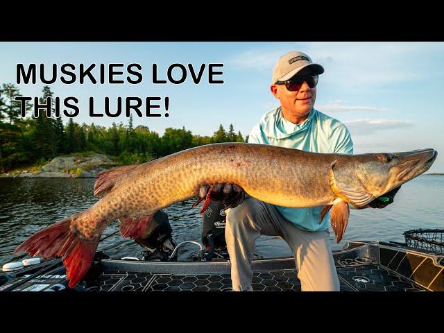 MUSKIES LOVE THIS LURE!