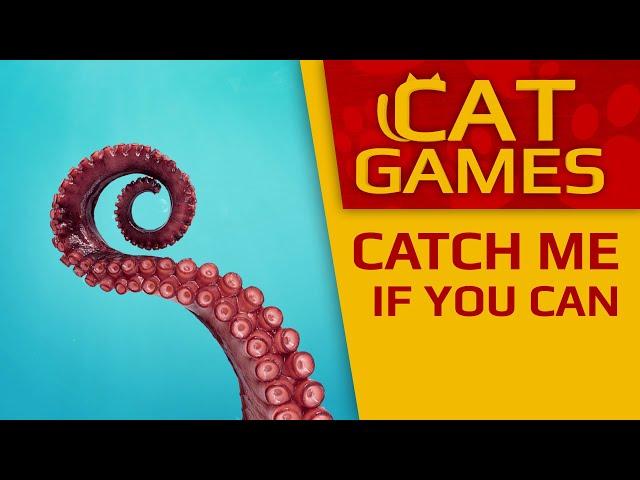 CAT GAMES - Catch me if you can! (Videos for CATS to watch) 4K