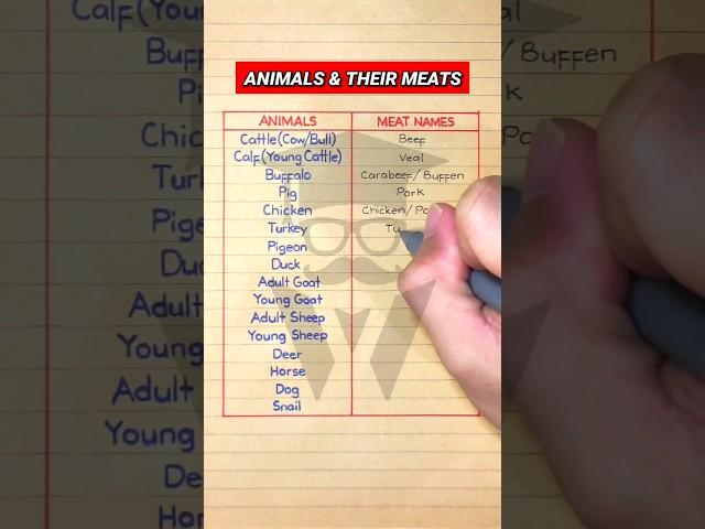 Animals & Their Meat Names