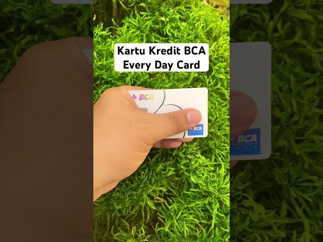 Kartu Kredit BCA Every Day Card