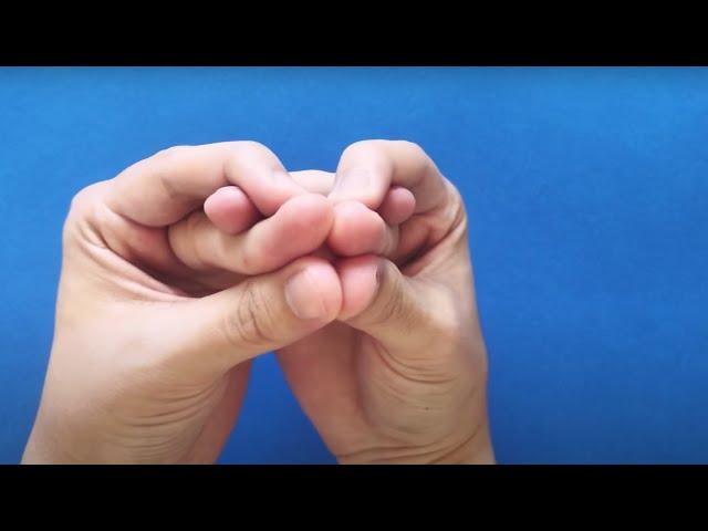 SNAKE  Hand Puppet Tutorial